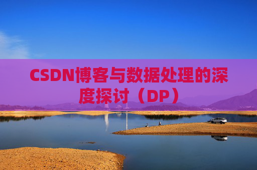 CSDN博客与数据处理的深度探讨（DP）